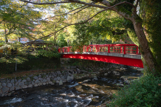 Autumn scenery at Katsura River in Shuzenji, an onzen town in Izu, Shizuoka, Japan