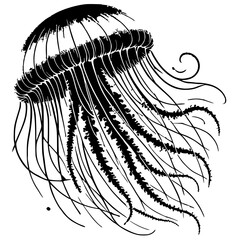 Beautiful jellyfish silhouette © Breck