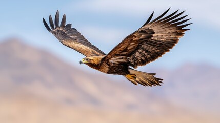 Fototapeta premium Majestic golden eagle soaring over mountain landscapes wildlife photography nature's beauty aerial view
