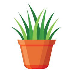 Illustration of grass plant in flowerpot isolated on white