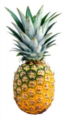 Vibrant Pineapple: A Tropical Delight for a Healthy Lifestyle