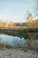 Frost-covered leaves beside an autumn river at dawn in Illinois