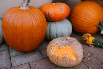 Close up of bitten pumpkin with assorted pumpkins on a brick porch