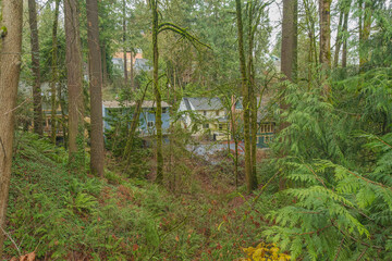 Wet overcast day hike in a Portland neighborhood.