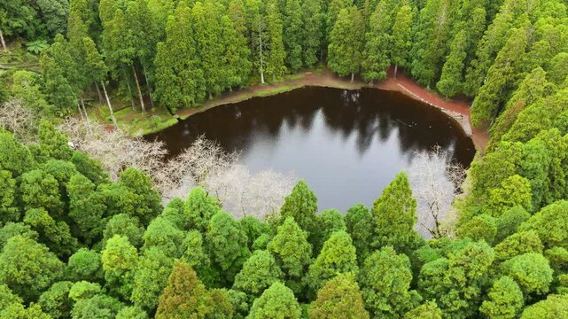 Round Lagoa das Patas in middle of forest on Terceira Island, Azores. Aerial