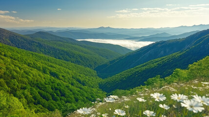 Obraz premium Lush Green Valley with Daisies and Misty Mountains