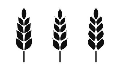 Wheat silhouette set PNG. Wheat icon. Wheat symbol. Cereal grains for making bread. Transparent background