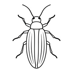 Click Beetle (Elateridae) insect design, labeled line art vector illustration.