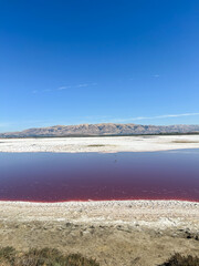 Alviso Marina County Park
