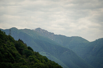 Horizontal view of green forest covered Swiss Alp mountains in multiple layers on a cloudy day