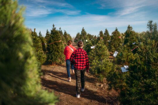 Kids walking to pick out Christmas Tree