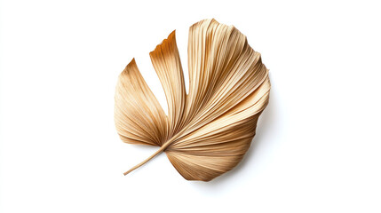 A single, curled dried palm leaf displaying its unique shape and textured surface, isolated on a pristine white background.