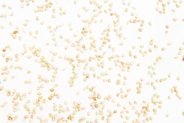 Particle, texture, point, overlay, shape, pattern, explosion, scattering, shape, distribution, template