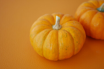 Bright and fresh orange pumpkins displayed beautifully on a vibrant background