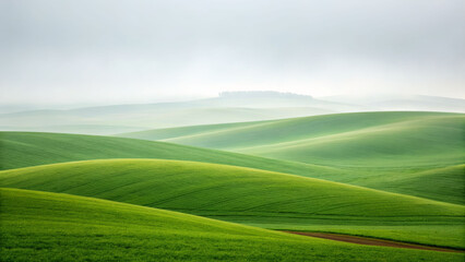 Obraz premium Simplicity of rolling green hills under fog scenic landscape nature photography calm environment serene viewpoint
