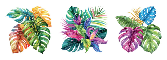 Watercolor colored tropical leaves png. Palm leaves, jungle leaves, monstera leaves, exotic botanical floral pattern. Vector illustration © Narin