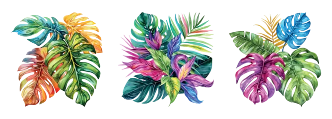 Fotobehang Tropische Bladeren Watercolor colored tropical leaves png. Palm leaves, jungle leaves, monstera leaves, exotic botanical floral pattern. Vector illustration  © Narin