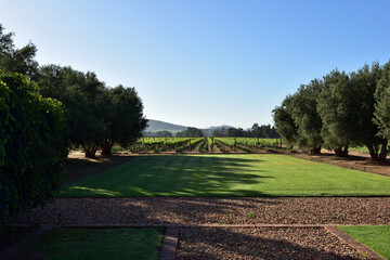 A prime wine farm near Bonnievale in the Western Cape of South Africa