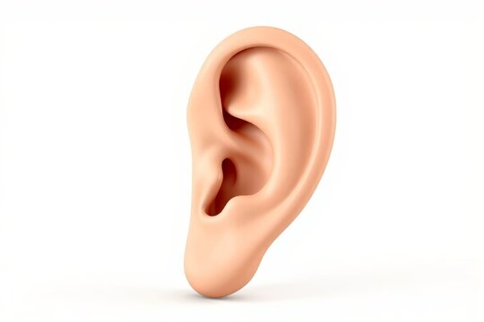 a close up of a human ear with a white background