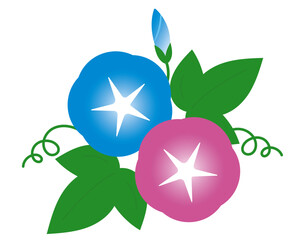 Obraz premium シンプルな朝顔の花のイラスト