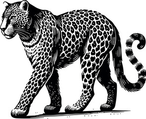 Leopard vector black silhouette cricut design for T-shirt