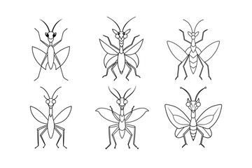 Devil’s Flower Mantis (Idolomantis diabolica) insect design, labeled line art vector illustration.
