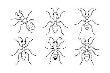 Velvet Ant (Mutillidae) insect design, labeled line art vector illustration.