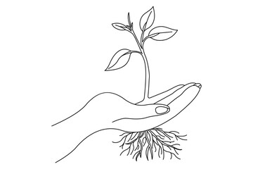 Plant growth processing start from bean seed single line art drawing vector illustration
