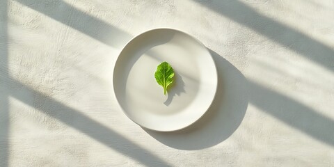 Minimalist culinary art: single leaf on white plate in sunlit setting anorexia eating disorder concept