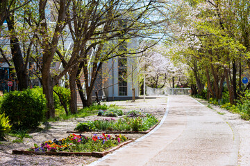 箕面船場阪大前周辺の春の風景