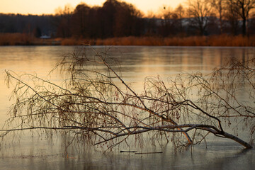 Zimowy, mroźny poranek nad stawem. © mycatherina