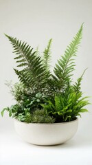 A Lush Fern Arrangement in a Stylish Pot: A Breath of Nature for Your Home