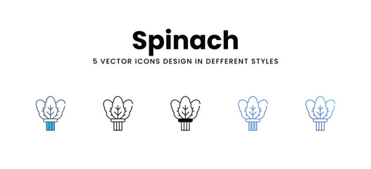 Spinach icons in different style vector stock illustration