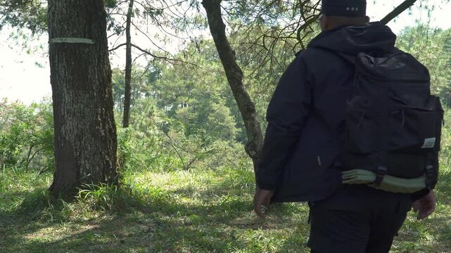 A solo traveler is preparing a flysheet tent in a green and lush pine forest area. Asian man adventuring alone in the jungle and setting up a trap tent from flysheet for bushcraft and camping