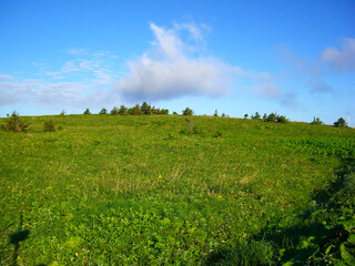 Obraz premium 北海道 利尻島の風景