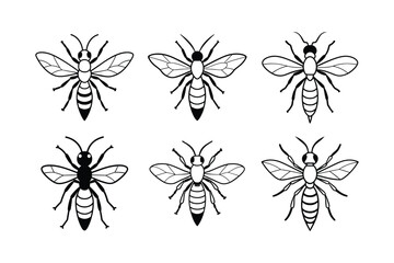 Mud Dauber (Sphecidae) insect design, labeled line art vector illustration.