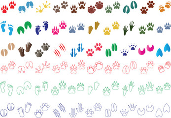 Animal paw prints, colorful hoof prints, and claw marks illustration, featuring diverse animal tracks like dog, cat, bird, deer, horse, bear, and reptile footprints for educational and design use
