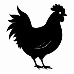 rooster isolated on white