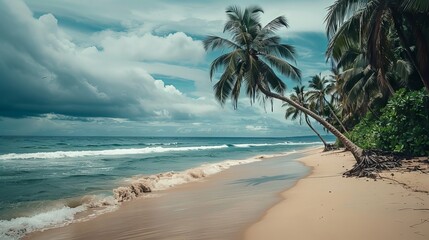 Obraz premium Serene tropical beach paradise featuring sparkling turquoise waters, gently swaying palm trees, and powdery white sand under a radiant island sun for ultimate relaxation.