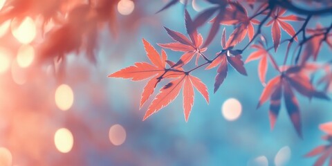 Close-up of tree leaves