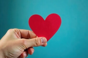 Obraz premium A person is gently holding a vibrant red heart in their hand now