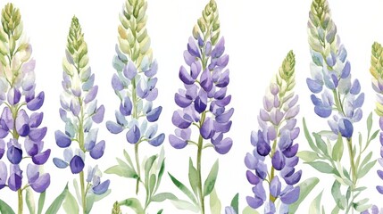 Obraz premium Watercolor Lupine Flowers - A Vibrant Floral Design for Home Decor