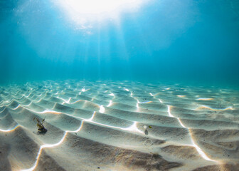 A minimalistic ocean bottom image of the rippling sand underwater with sunrays shining in brightly...