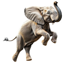 A playful elephant jumping in mid-air, showcasing its agility and playful nature against a neutral background.
