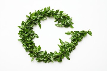 Isolated wreath of laurel leaves with dried seasoning on white background