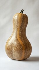 Strikingly Beautiful Decorative Gourd, A Natural Autumnal Accent