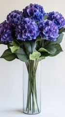 Vibrant purple hydrangeas in a clear glass vase, isolated on white background.