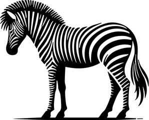 Zebra vector black silhouette cricut design for T-shirt