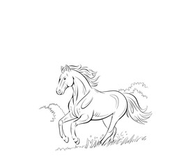 Running black line horse on white background. Vector graphic.