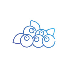 Berries  vector icon